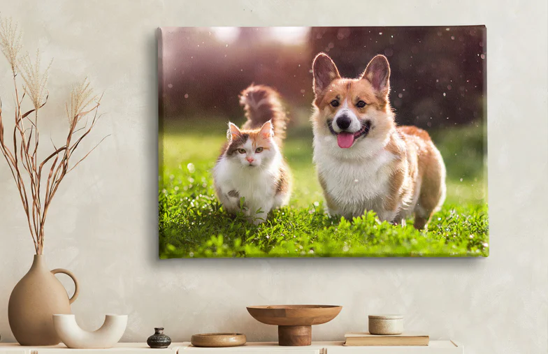 Stampe su Tela di Foto di Animali Domestici