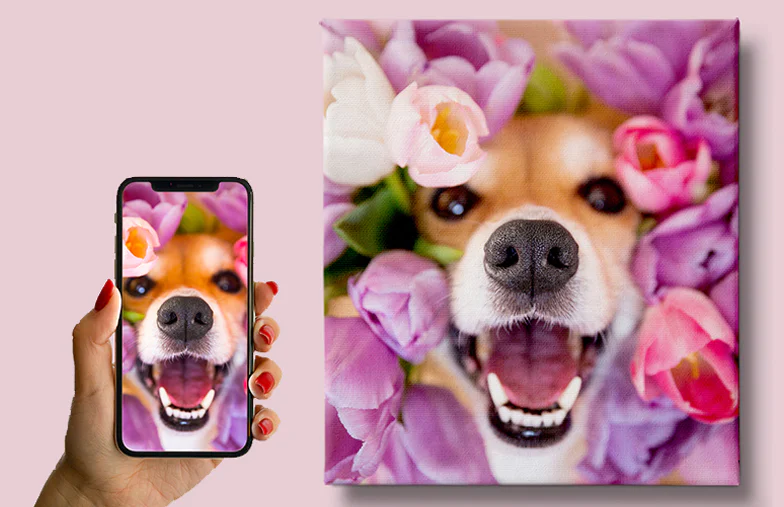Stampe su Tela di Foto di Animali Domestici