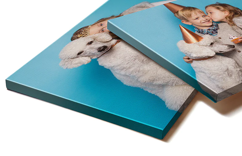 Stampe su Tela di Foto di Animali Domestici